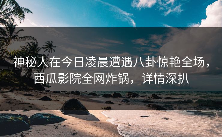 神秘人在今日凌晨遭遇八卦惊艳全场，西瓜影院全网炸锅，详情深扒