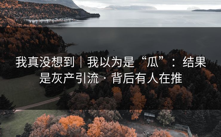 我真没想到|我以为是“瓜”:结果是灰产引流 · 背后有人在推 我真没想到|我以为是“瓜”:结果是灰产引流 · 背后有人在推