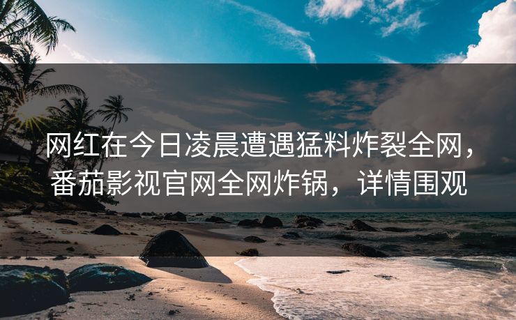 网红在今日凌晨遭遇猛料炸裂全网，番茄影视官网全网炸锅，详情围观