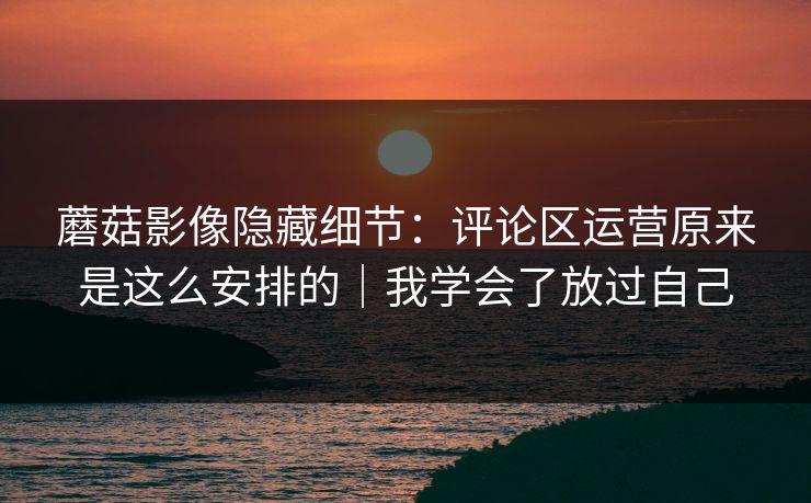 蘑菇影像隐藏细节：评论区运营原来是这么安排的｜我学会了放过自己